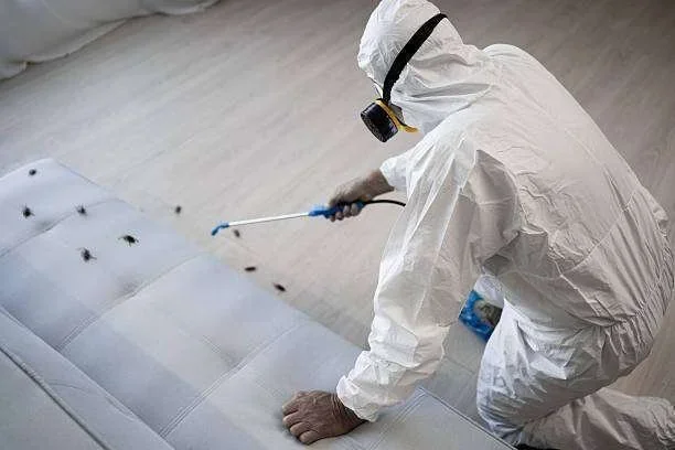 Profissional de dedetização com máscara e roupa protetora pulveriza baratas em sofá