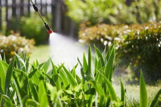 Pulverizador aplicando produto em plantas verdes em um jardim