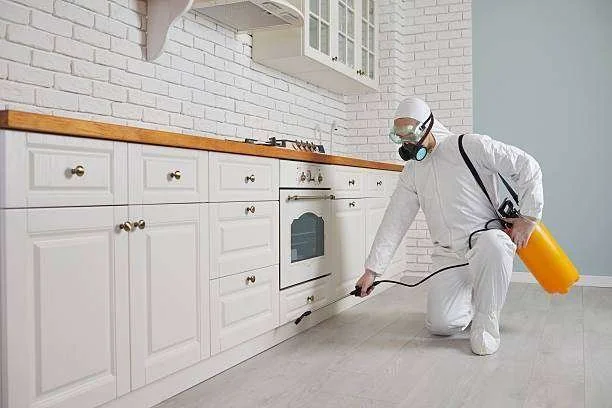 Técnico de dedetização pulverizando sob armários de cozinha brancos, usando traje e máscara de proteção